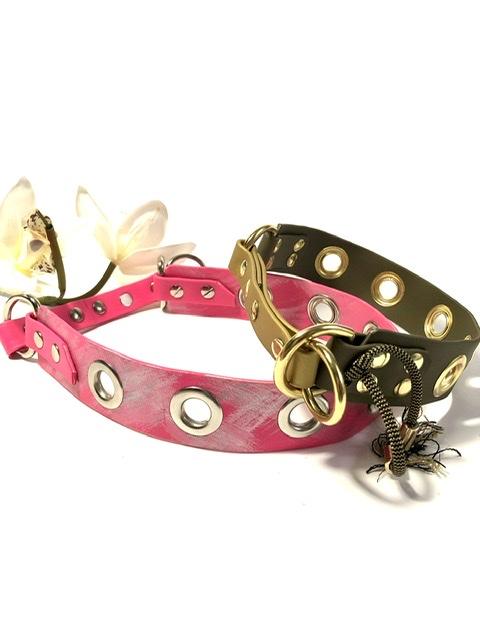 neopren halsband hund Hundehalsband aus Neopren & Nylon mit Griff und Polsterung | Wasser- und  schmutzabweisend | PetTec main image 0